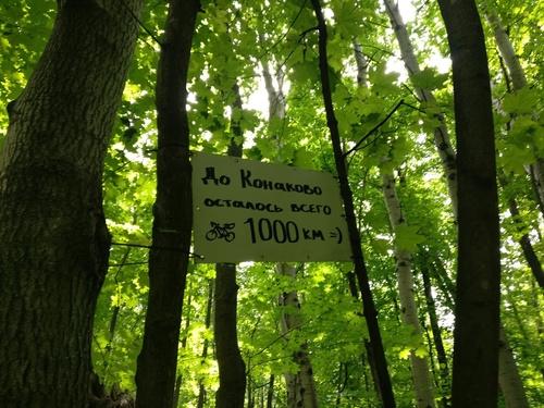 Ну, уже больше четверти есть!