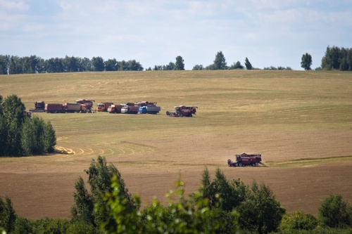 Уже сегодня уезжаем с полей, время прощаться с гулом машин
