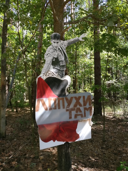 Лопухи? Какие лопухи?