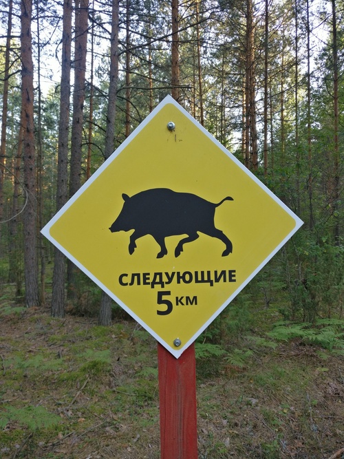 Следующие пять километров необходимо метнуться. Простите меня пожалуйста.