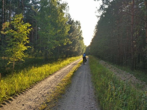 Мещёра залита солнцем. Как и должно быть. Как и правильно.