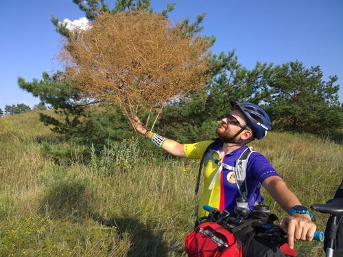 Tell me your secrets, grass