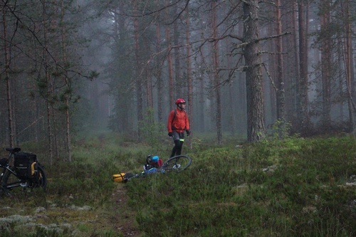 Я до вот этого вечера не верил, что такой свет вообще бывает где-то кроме фильмов с дорогой цветокоррекцией