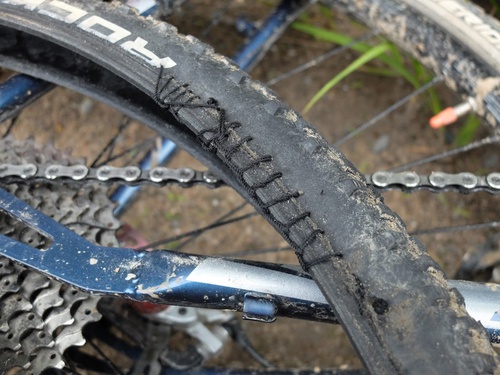 Да, порванная на второй день покрышка; какое счастье, что у Керо была с собой игла с нитью