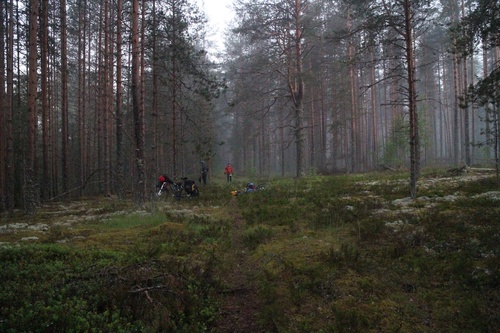 Будто другая планета, потрясающе