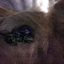 /2021/gaming-gave-me-an-aneurysm/images/Halo_Combat_Evolved_huc02f93bb7eafe9a8f63b288c2533110c_391631_64x64_fit_q60_lanczos_3.png