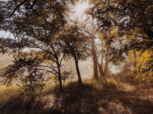 Стоянка. Выглядит сказочно, но шум автомобилей с шоссе доносится достаточно громко, чтоб быть проблемой